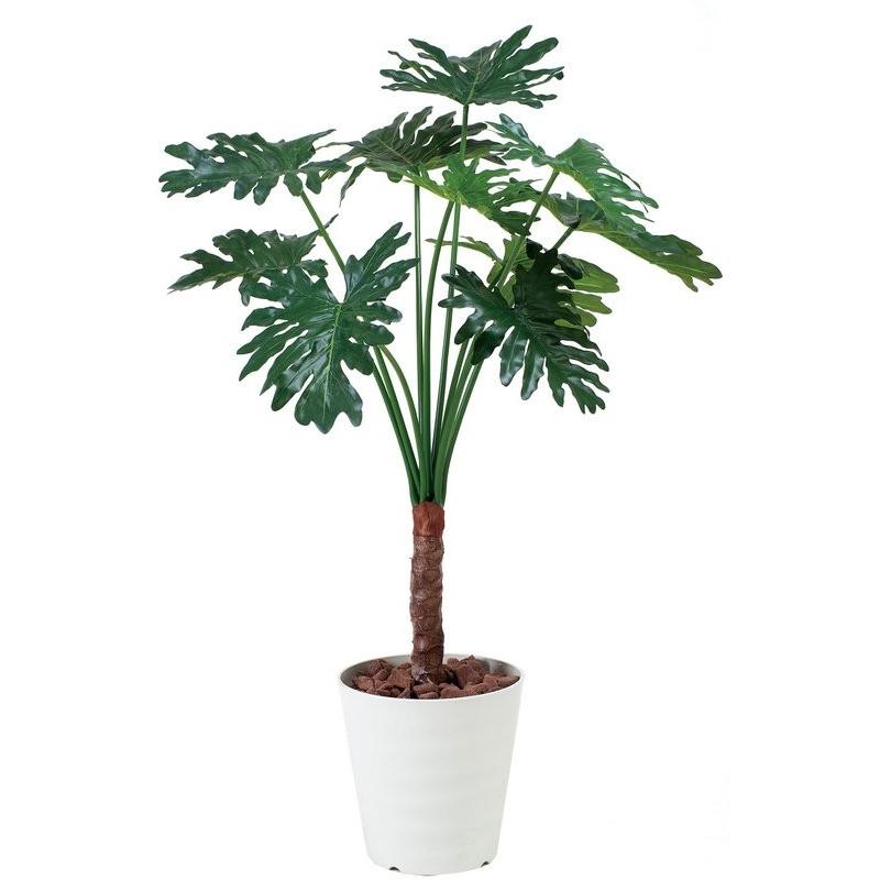 高級ブランド 光触媒観葉植物 セロ ム1 3 フロアタイプ ハイサイズ 光触媒 観葉植物 フェイクグリーン 花 開店祝い おしゃれ 光触媒 開店祝い 開業祝い 誕生祝い 造花 おしゃれ Cray Tokyo 51a1e314 Bromyros Com Uy