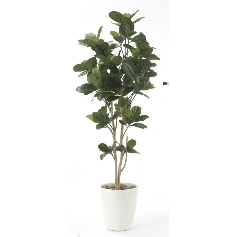 光触媒観葉植物 パンの木1.25〔フロアタイプ(ハイサイズ)〕 光触媒 観葉植物 フェイクグリーン 花 開店祝い 開業祝い 誕生祝い 造花 おしゃれ