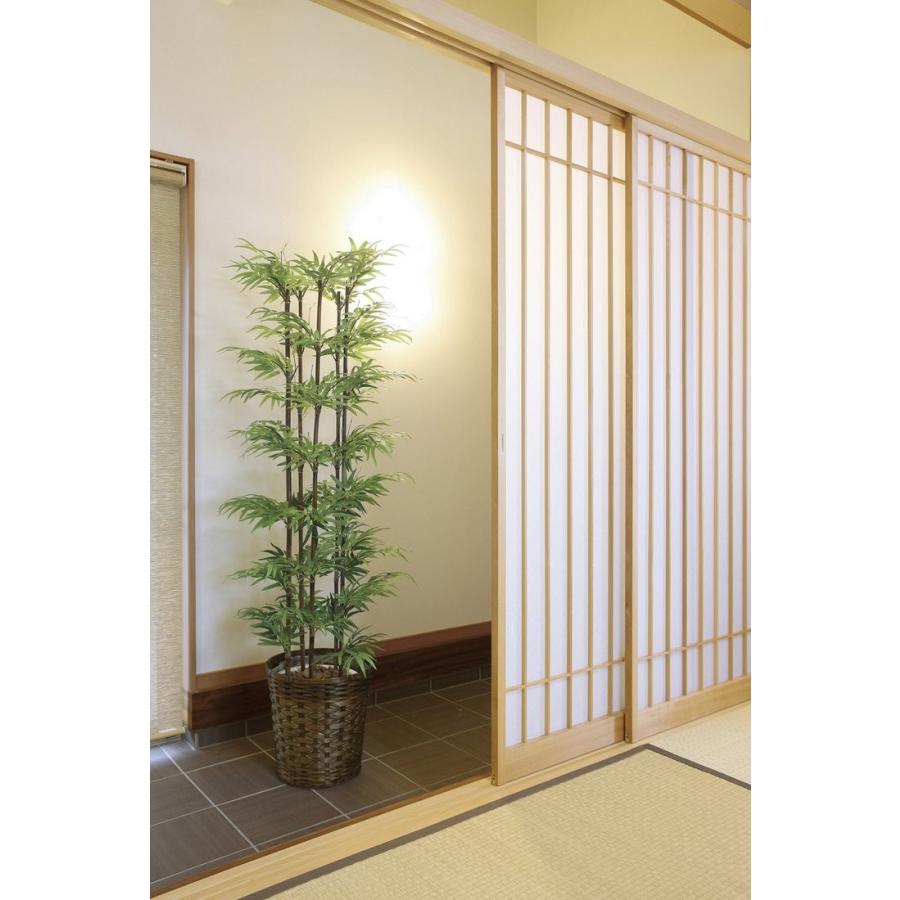 光触媒観葉植物 南天1.0 フロアタイプ ハイサイズ 光触媒 観葉植物 