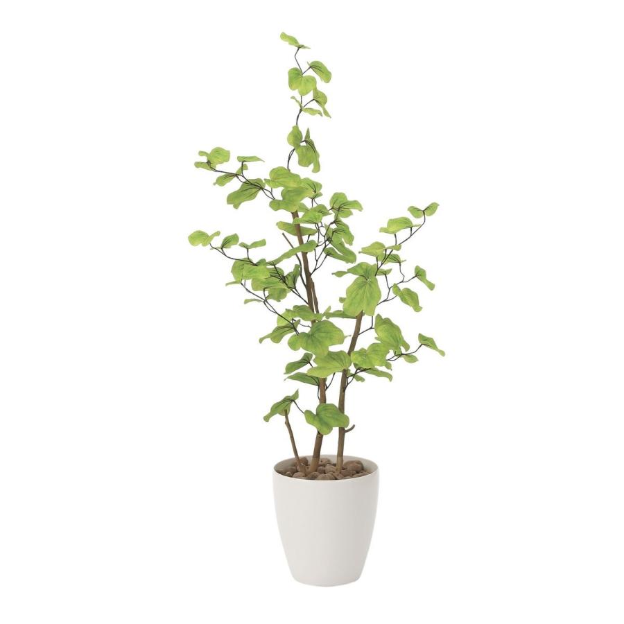 光触媒観葉植物 バウヒニア1.3 フロアタイプ ハイサイズ 光触媒 フェイクグリーン 御祝 内装 インテリア