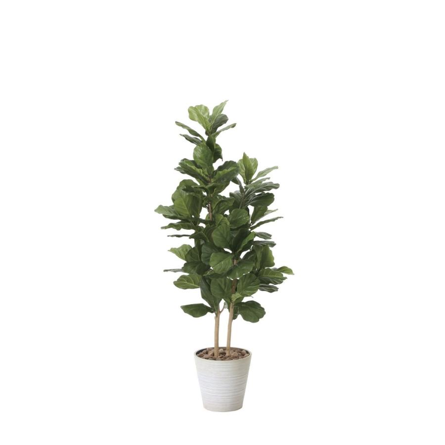 光触媒観葉植物 カシワバゴム1.6 フロアタイプ ハイサイズ 光触媒 フェイクグリーン 御祝 内装 インテリア