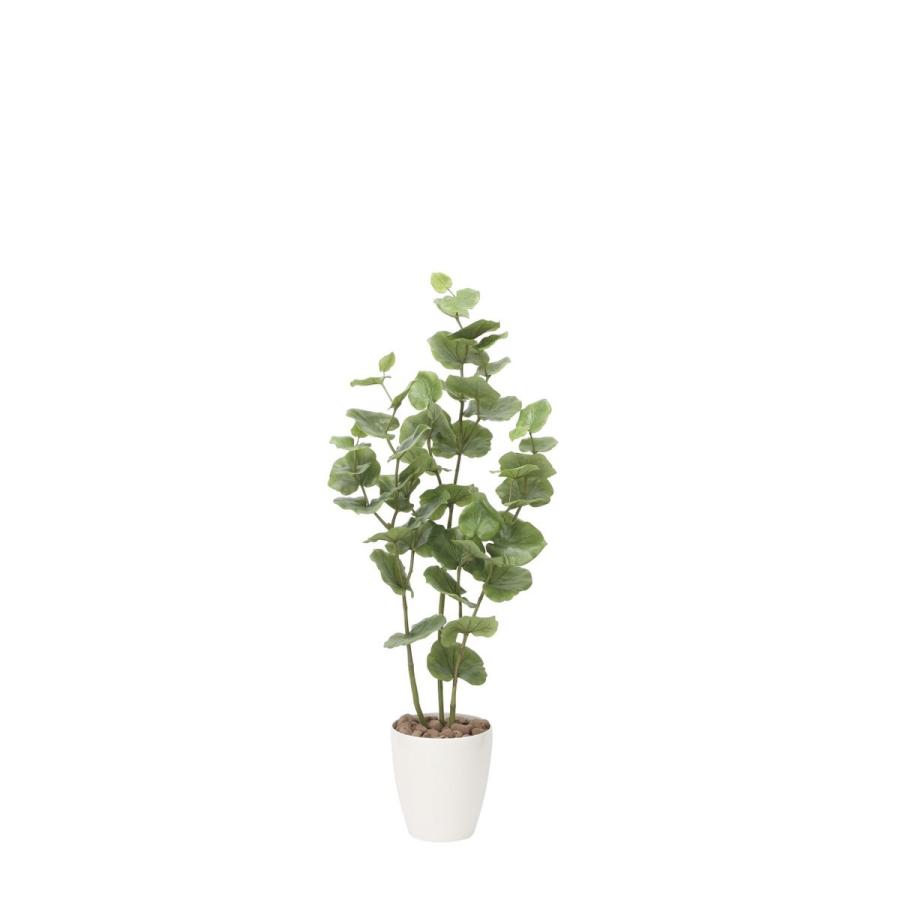 光触媒観葉植物 シーグレープ1.2 フロアタイプ ミドルサイズ 光触媒 