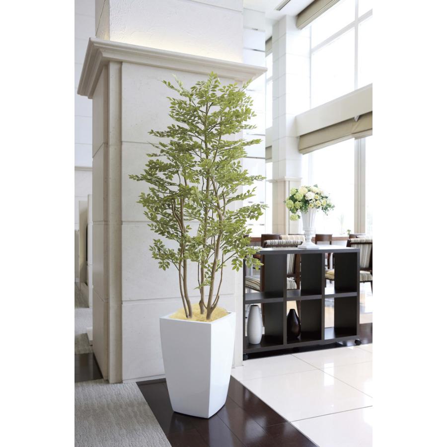 光触媒観葉植物 アーバンゴールデンリーフ1.8 〔フロアタイプ