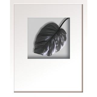 リーフアート Hana concept frame Hosta cv（ホスタ） 絵画 壁掛け 壁飾り インテリア 油絵 花 アートパネル ポスター 絵 額入り リビング 玄関