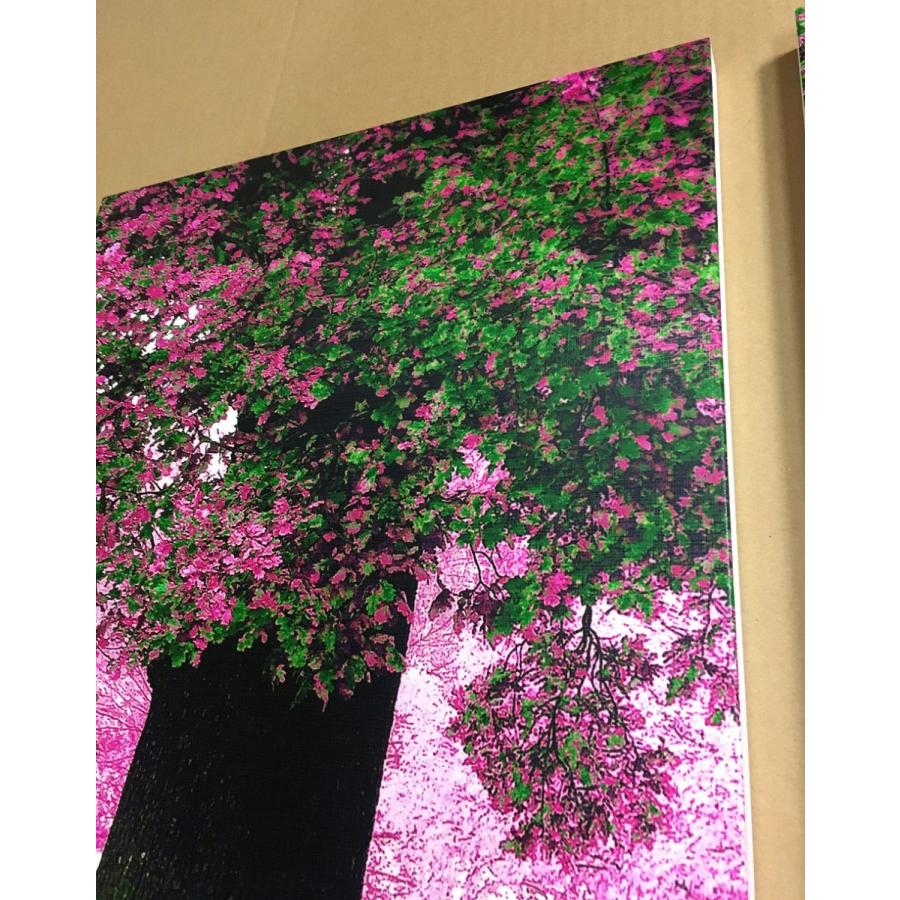 アートフレーム ND Concept Frame 3枚set 桜 絵画 壁掛け 壁飾り