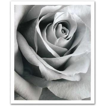 優れた品質 アートフレーム バラ 絵画 油絵 アートフレーム 壁掛け 壁飾り インテリア 油絵 花 アートパネル 絵画 ポスター 絵 額入り リビング 玄関 矢部村 C9b8c8ba Studio J Co