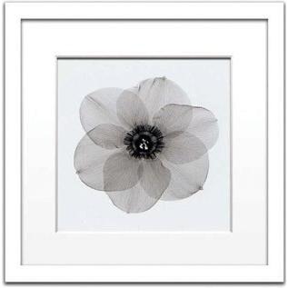 レントゲンアート 絵画 ラッパスイセン#2 壁掛け 壁飾り インテリア