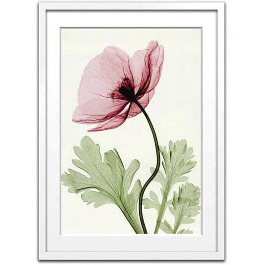 レントゲンアート 絵画アイスランドポピー2 絵画 壁掛け 壁飾り インテリア 油絵 花 アートパネル ポスター 絵 額入り リビング 玄関 Ism 日本唯一の風景専門店 あゆわら 通販 Yahoo ショッピング