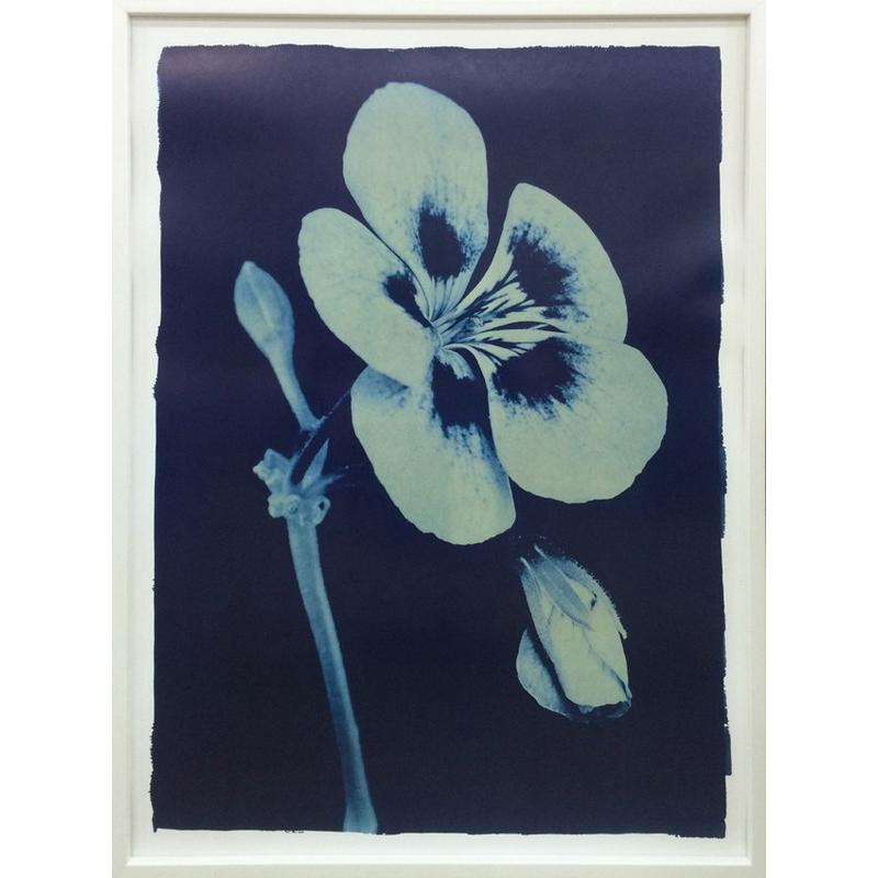 アートフレーム Thomas Hager Open Geranium ＃2,2002  5Lサイズ 絵画 壁掛け 壁飾り インテリア 油絵 花 アートパネル ポスター 絵 額入り リビング