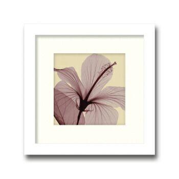 レントゲンアート 絵画 ハイビスカス スモール 絵画 壁掛け 壁飾り インテリア 油絵 花 アートパネル ポスター 絵 額入り リビング 玄関 Ka As 日本唯一の風景専門店 あゆわら 通販 Yahoo ショッピング