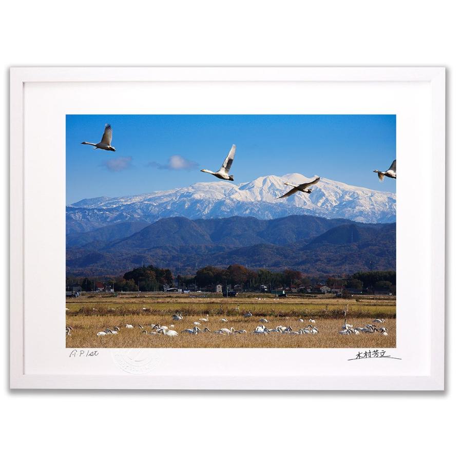 絵画 アクリル絵 額縁 キャンバス 白鳥 風景画 楽天市場】絵画 油絵 額