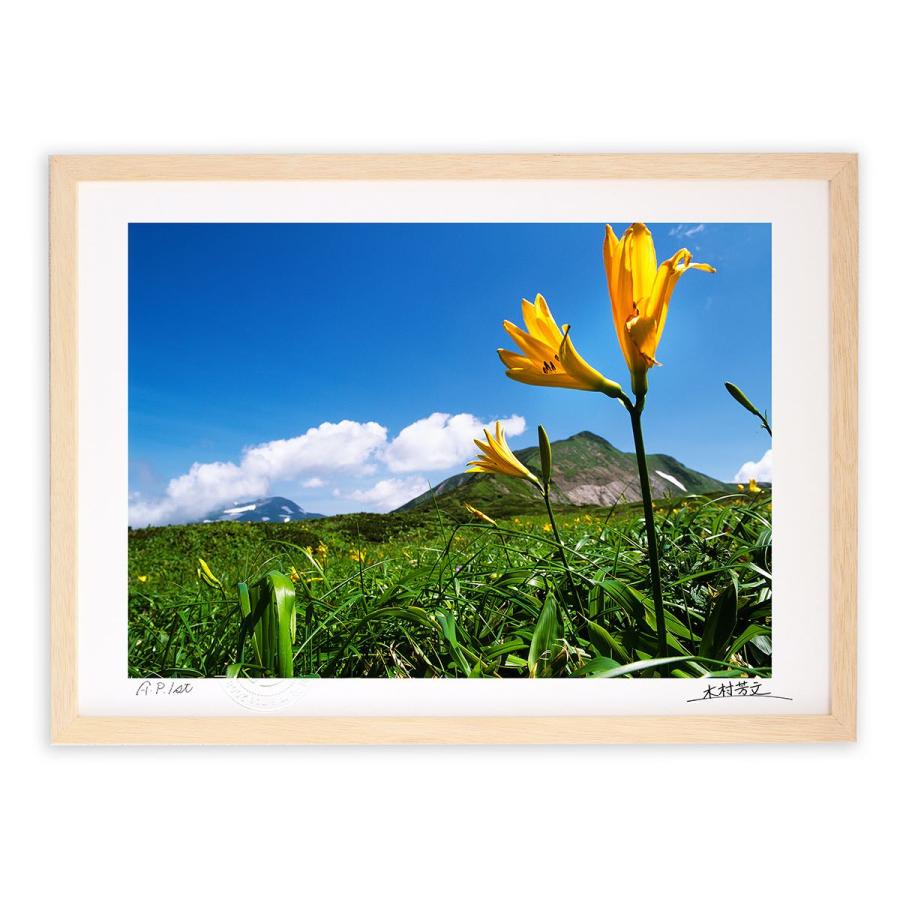 アートフォト 絵画 壁掛け ニッコウキスゲと別山1 白山 壁飾り