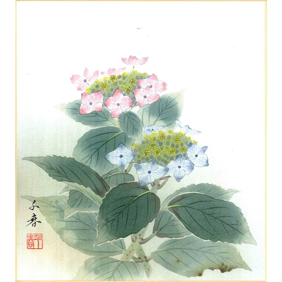 手描き 色紙 色紙掛けなし 「誕生花紫陽花（6月）」中村 千春 242mm