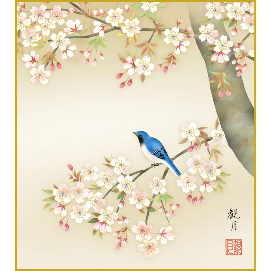 和風掛け軸 花の水彩画(色紙代込み) 色紙 色紙掛けなし 色紙絵 和風 桜花 森山観月 モダン 掛軸 床の間