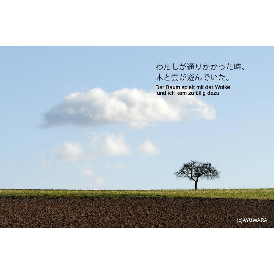 アートフォト 絵画 壁掛け 哲学者の木 Philosophers Tree 09 ガビー ゾマー Som 044 Wy 日本唯一の風景専門店 あゆわら 通販 Yahoo ショッピング