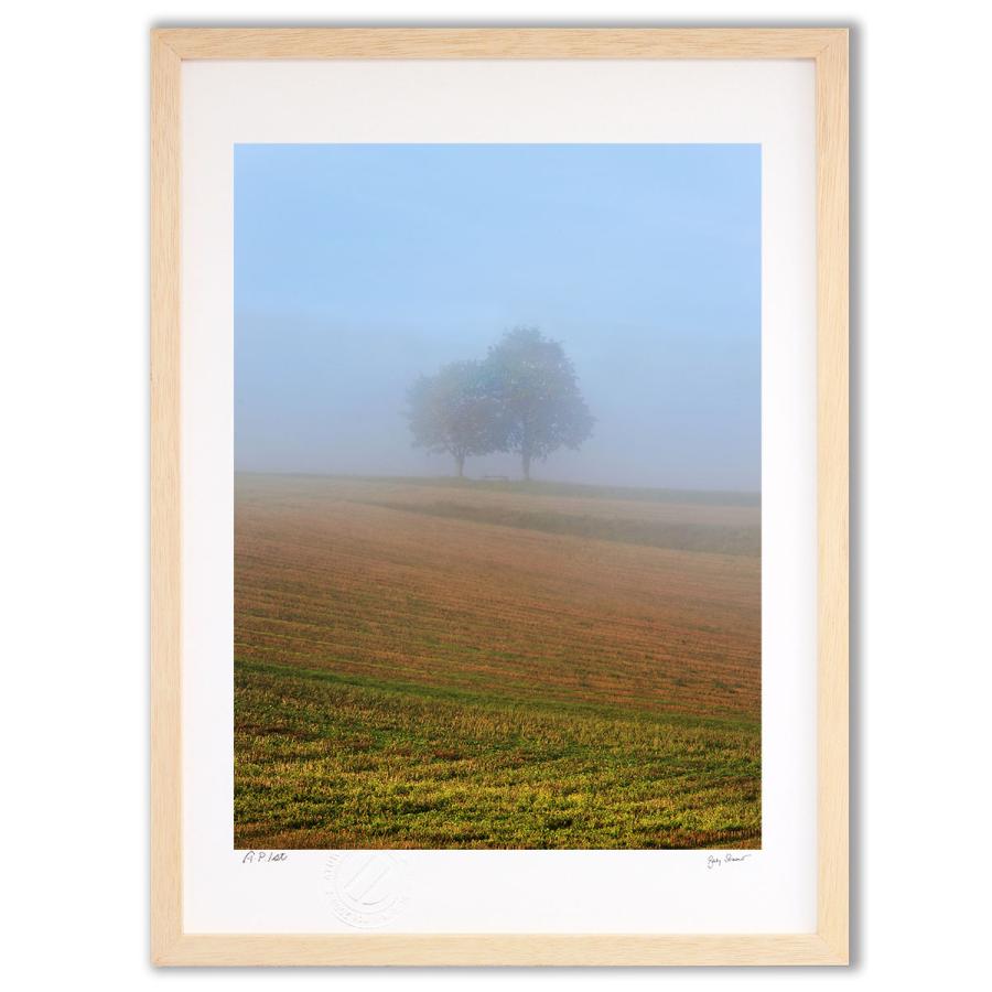 アートフォト 絵画 壁掛け スフマート（絵画の技法）(Sfumato 2012