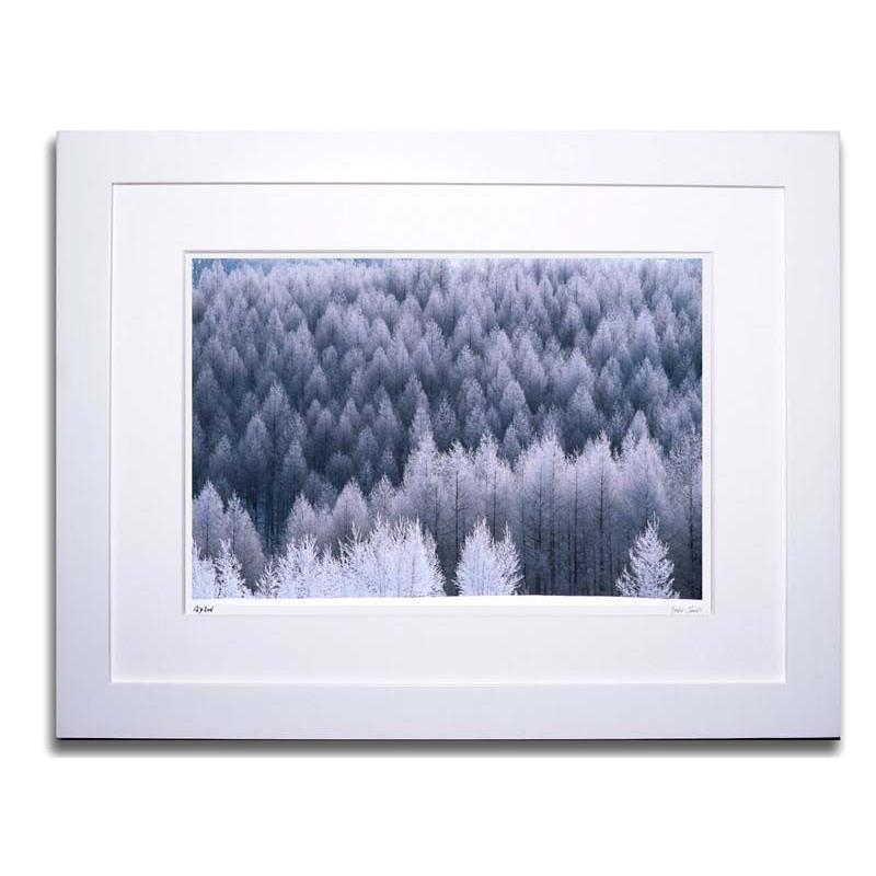アートフォト 絵画 壁掛け ベスト 霧氷の森1 高橋真澄 壁飾り