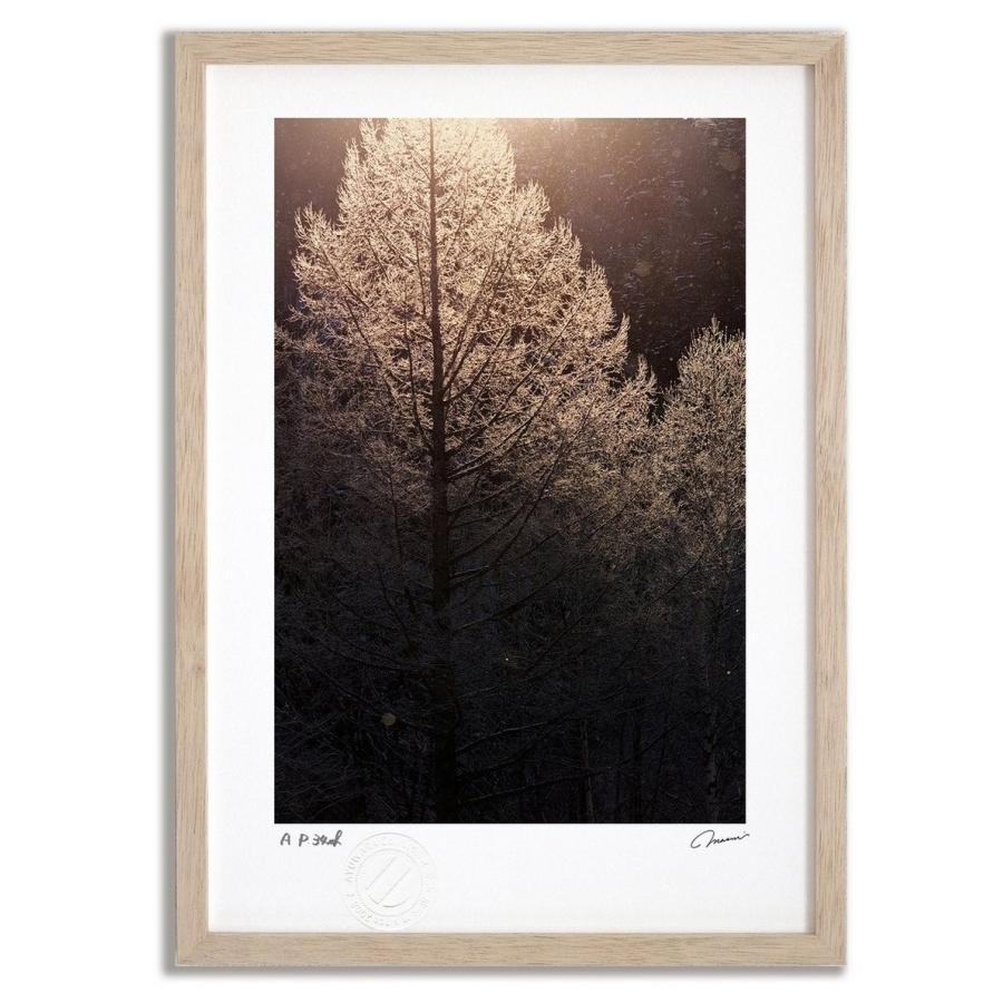 アートフォト 絵画 壁掛け 霧氷1 占冠村 富良野 美瑛 高橋真澄 インテリア 壁掛け 額入り モダン アートフレーム おしゃれ