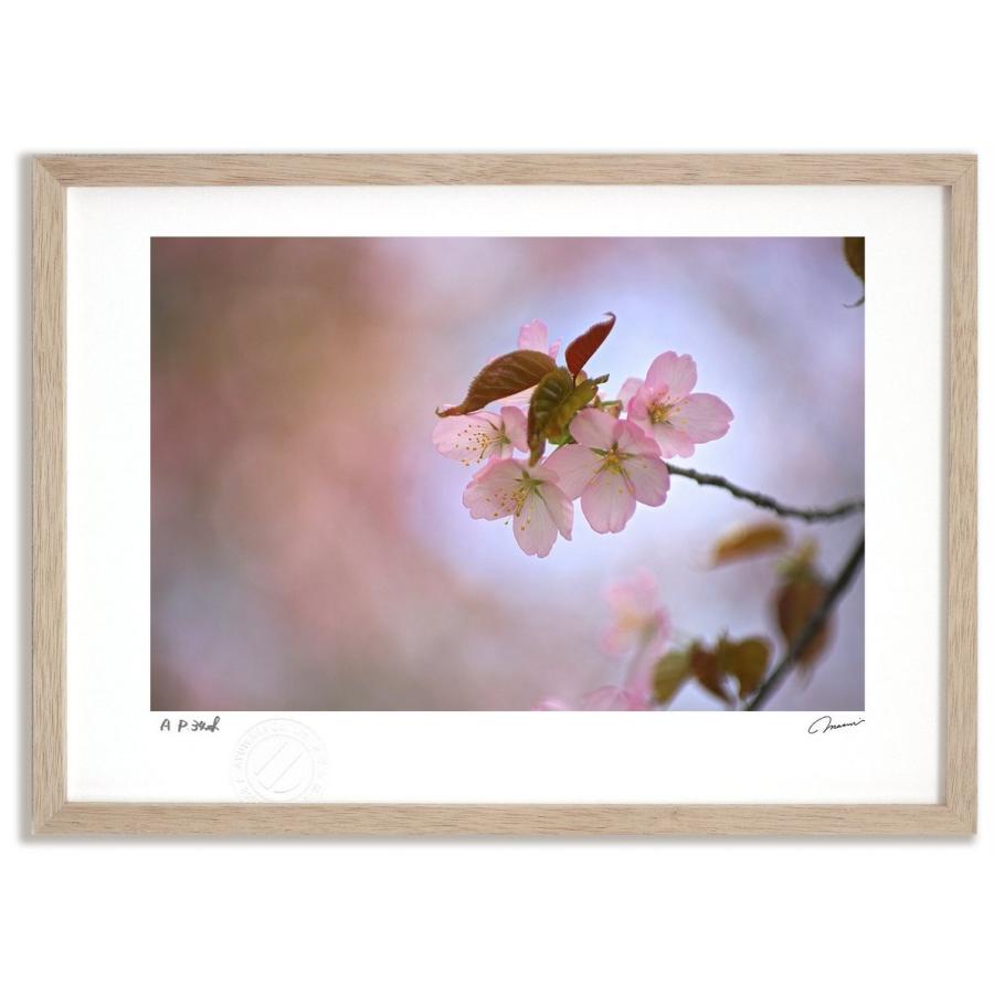 在庫一掃 アートフォト 絵画 壁掛け 桜1 富良野 美瑛 高橋真澄 インテリア 壁掛け 額入り モダン アートフレーム 高質で安価 Www Cahsinc Org