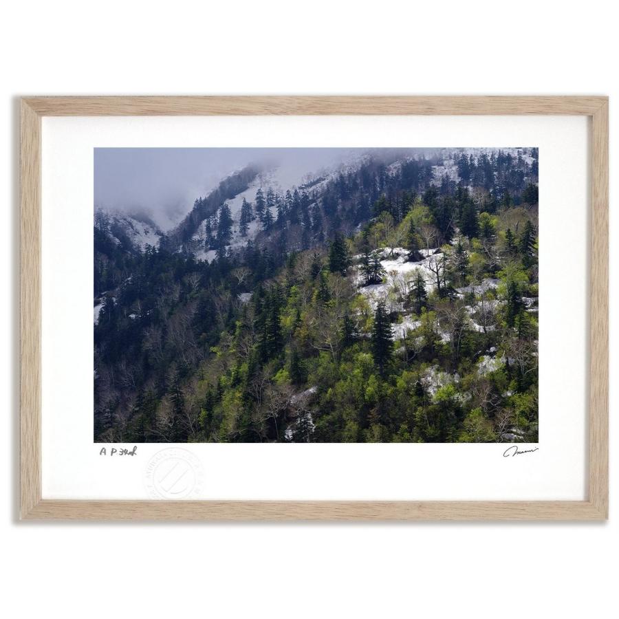 アートフォト 絵画 壁掛け 十勝岳温泉の遅い春 富良野 美瑛 高橋真澄 インテリア 壁掛け 額入り モダン アートフレーム おしゃれ Tm 0347 Ny 日本唯一の風景専門店 あゆわら 通販 Yahoo ショッピング