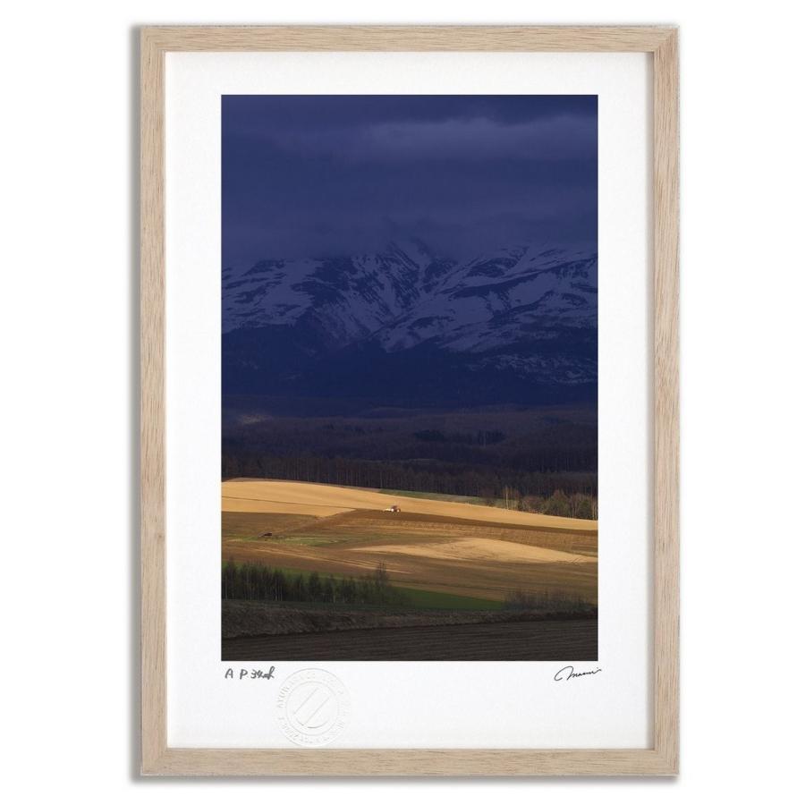 アートフォト 絵画 壁掛け 寸光の大地3 富良野 美瑛 高橋真澄 インテリア 壁掛け 額入り モダン アートフレーム おしゃれ