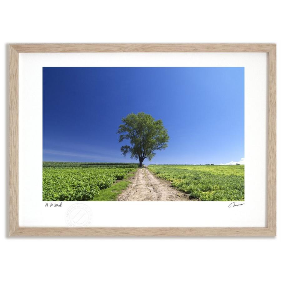 アートフォト 絵画 壁掛け 哲学の木4 富良野 美瑛 高橋真澄 インテリア 壁掛け 額入り モダン アートフレーム おしゃれ Tm 08 Ny 日本唯一の風景専門店 あゆわら 通販 Yahoo ショッピング