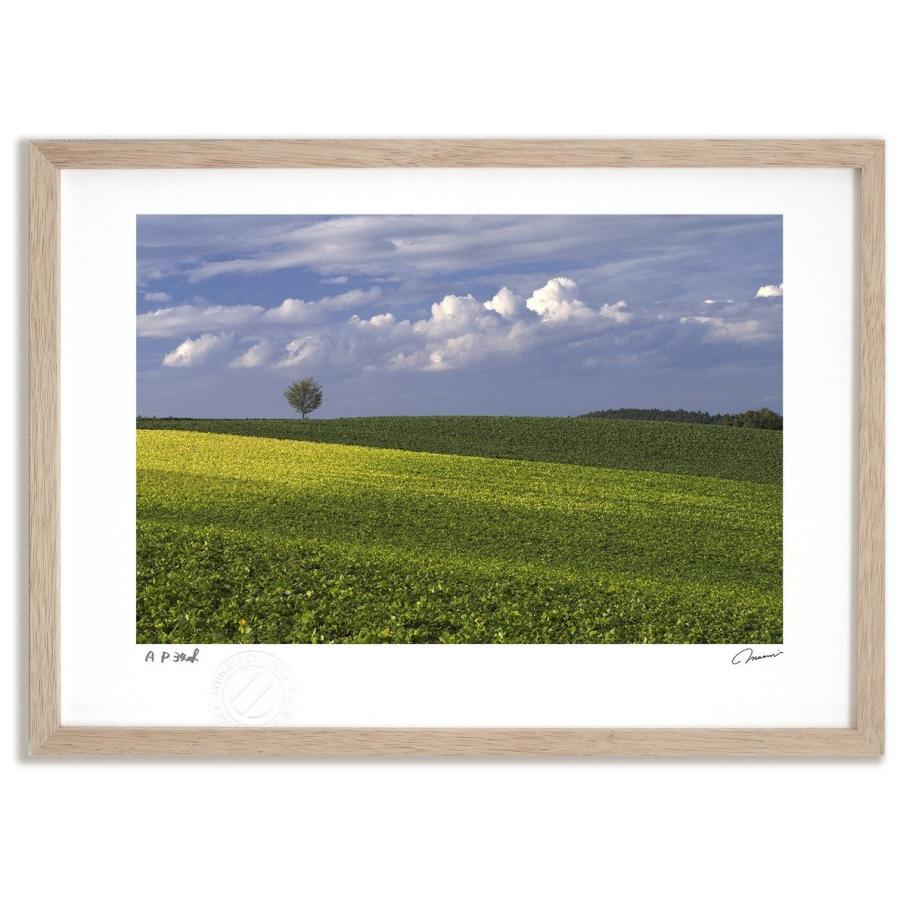 アートフォト 絵画 壁掛け 秋の豆畑 富良野 美瑛 高橋真澄 インテリア