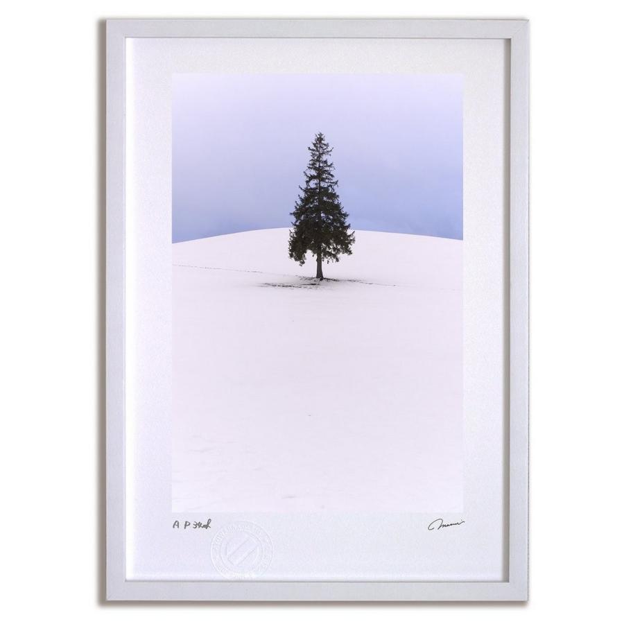 アートフォト 絵画 壁掛け ベスト クリスマスツリーの木7 富良野 美瑛 高橋真澄 インテリア 壁掛け おしゃれ 額入り アートフレーム おしゃれ Tm 1027 Wt 日本唯一の風景専門店 あゆわら 通販 Yahoo ショッピング