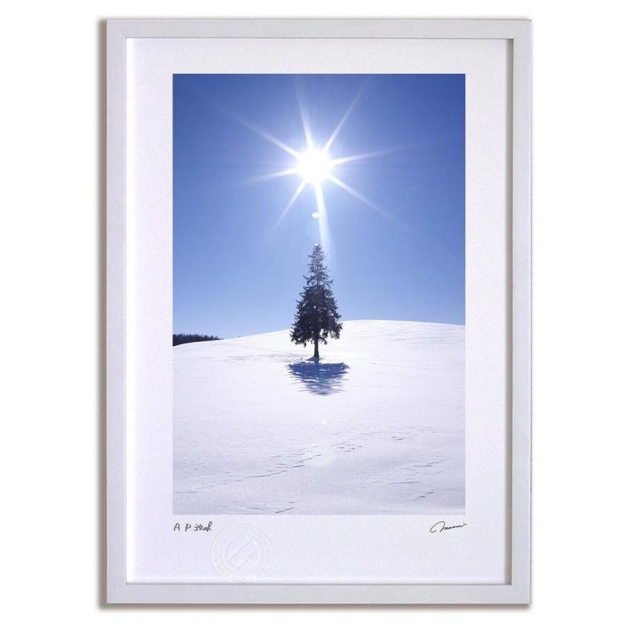 アートフォト 絵画 壁掛け クリスマスツリーの木と太陽3 富良野 美瑛 高橋真澄 インテリア 壁掛け 額入り モダン アートフレーム おしゃれ
