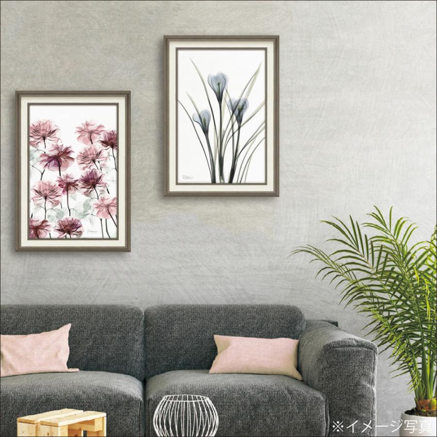 絵画 XRAYキャンバスアート「フラワーベッド(Mサイズ 絵画 XRAYキャンバスアート「フラワーベッド(Mサイズ