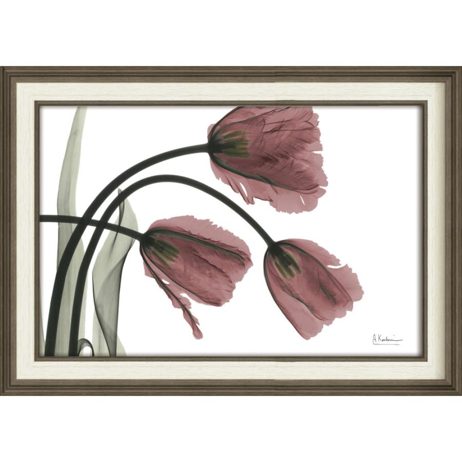 絵画 XRAYキャンバスアート「フリンジチューリップ（Mサイズ）」 レントゲンアート フレーム付き インテリア リビング 玄関 寝室 部屋に飾る 絵 花 プレゼント