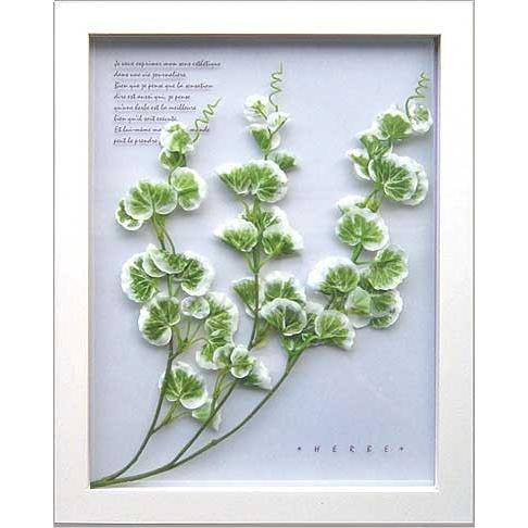 ハーブフレーム Herbe frame Yukinoshita( ユキノシタ) 絵画 壁掛け 壁