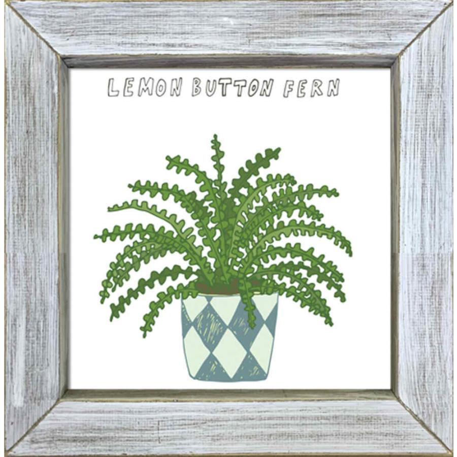 絵画 ゆうパケット ホームプラントシダ 絵画 壁掛け 壁飾り インテリア 油絵 花 アートパネル ポスター 絵 Zhp 日本唯一の風景専門店 あゆわら 通販 Yahoo ショッピング