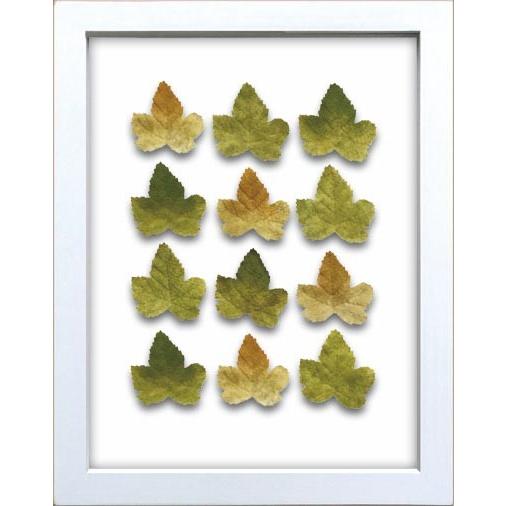 リーフフレーム Grape Leaf グレープ リーフ 絵画 壁掛け 壁飾り