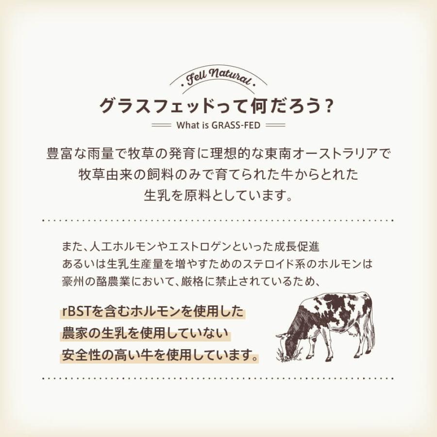 低価格化 プロテイン ホエイ 女性 無添加 50代 40代 グラスフェッド ダイエット 安い まとめ買い 自然 美容 シェイカー Fix It Feel Natural Plane 1kg4 280円 Aynaelda Com