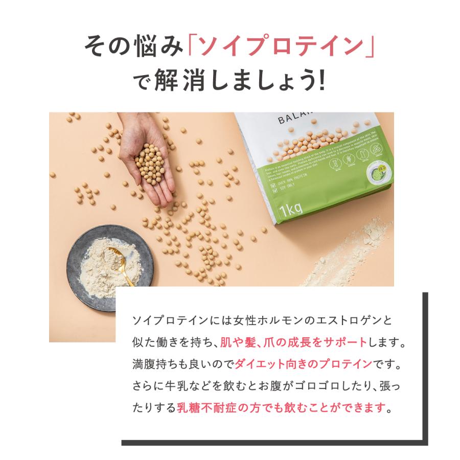 FIXIT プロテイン ソイ 大豆 1kg たんぱく質含有量80%以上 MAKE FIXIT プロテイン ソイ 大豆 1kg たんぱく質含有量80%以上 MAKE