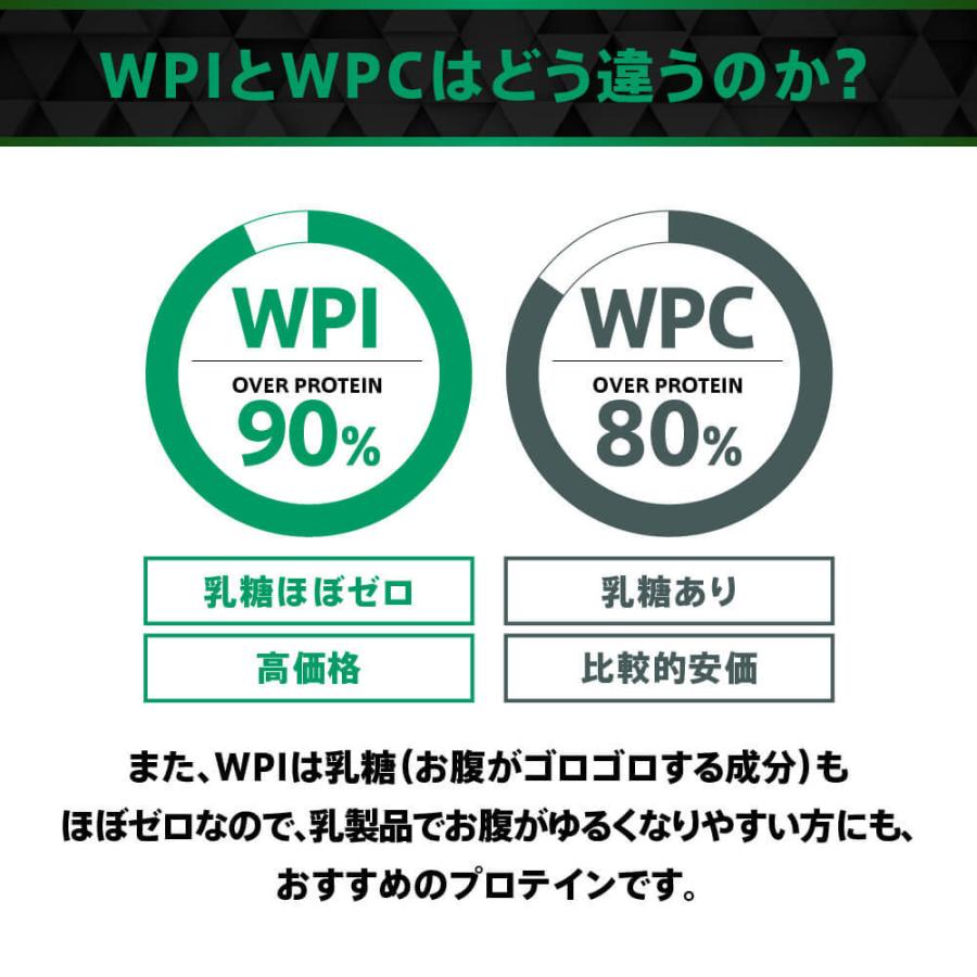 プロテイン ホエイプロテイン WPI 1kg 無香料 無着色 たんぱく質含有90%以上 FIXIT THINK SIMPLE ダイエット｜az-market｜06