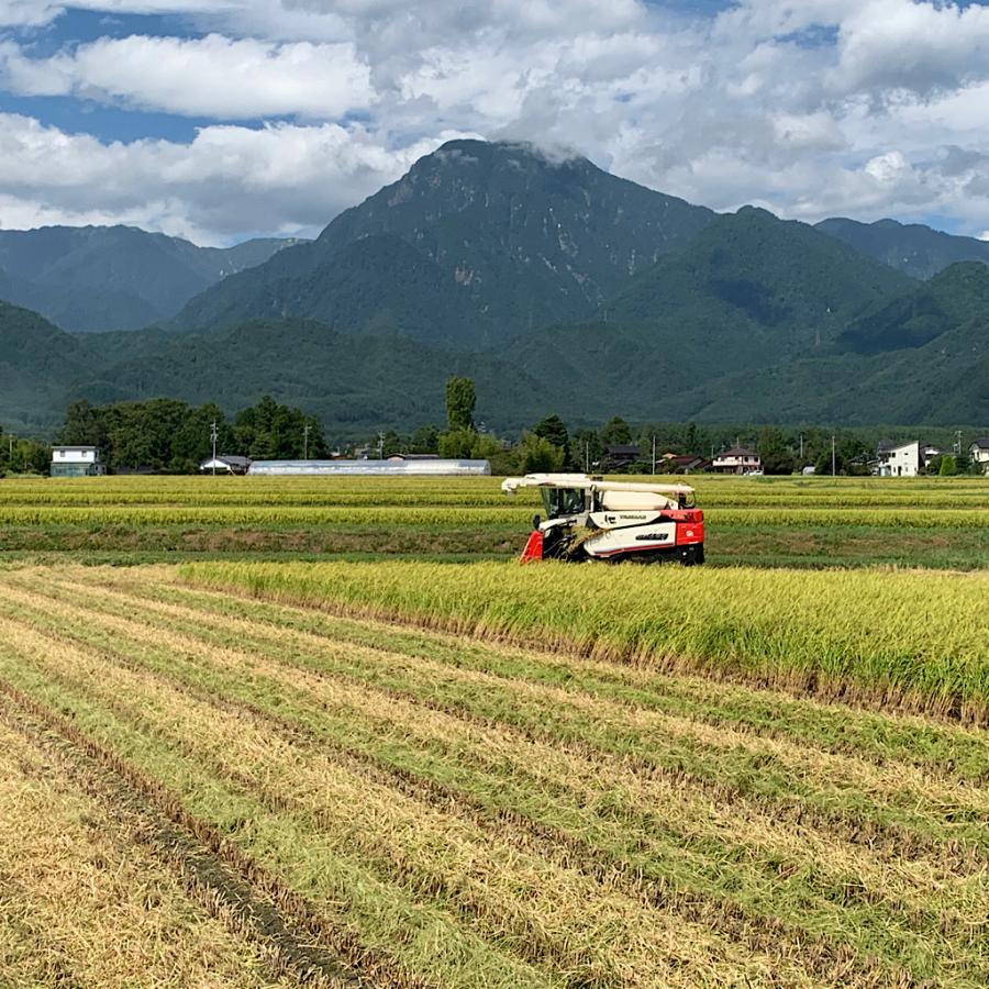 令和5年産【コシヒカリ白米2kg】北アルプスの清水で育てた安曇野産自家製コシヒカリ　一等米　送料無料（北海道・九州・沖縄は送料有料）｜az-nursery｜05