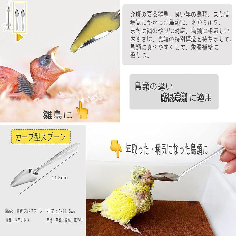 鳥類に食べさせるキット スプーンとシリンジ オウムのスプーン 鳥用スプーン インコ スプーン 給餌スプーン オウムの粉乳スプーン 粉ミルク｜az-select-store｜03