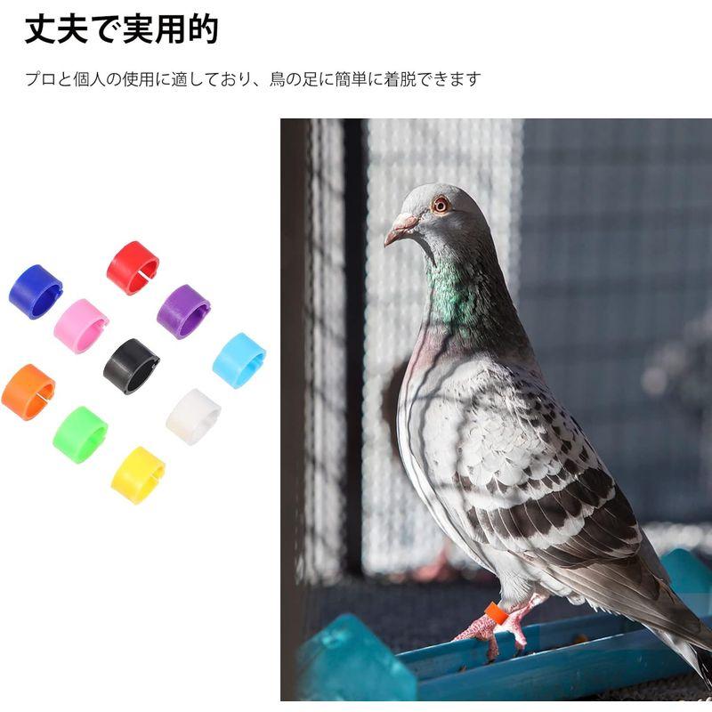 ARTIBETTER 足輪 鳥 家禽用足輪 個体識別環 鳩 アヒル 鶏足環 割輪 レッグリング 家禽脚リング 再利用可能 8mm 識別用 リ｜az-select-store｜02