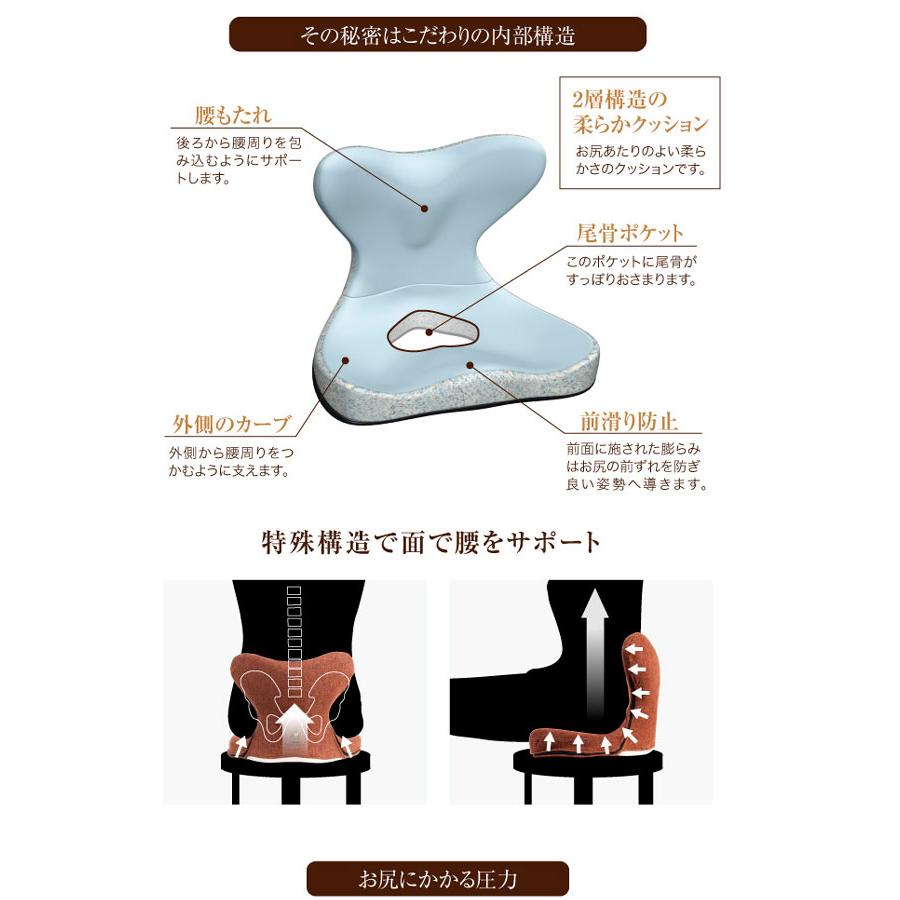 リッチ 値引きクーポン対象商品 馬具マットプレミアムEX ※（代引き不可