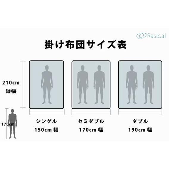 フェアリーノヴァ掛け布団 Sun シングル ※メーカーから直送 ※北海道と
