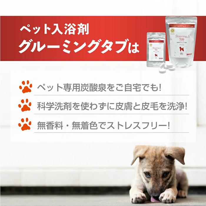 ペット用 重炭酸イオン入浴剤 グルーミングタブ 100錠 ※沖縄・離島は