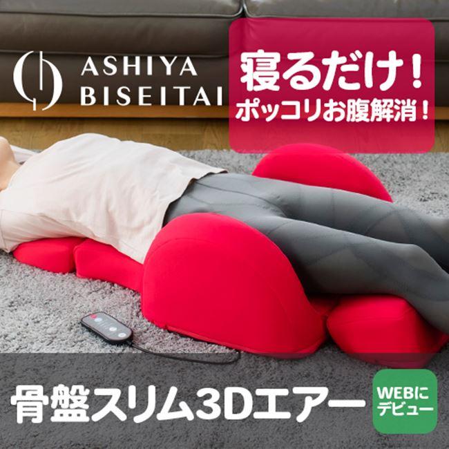 中古　芦屋美整体　骨盤スリム3Dエアー　人気色ピンク 芦屋美整体 骨盤スリム3Dエアー ブラウン/ピンク ※メーカーから直送