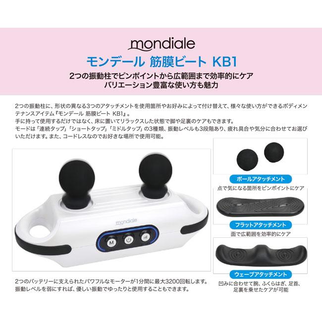 ヴァルテックス（VARTEX） 即納 モンデール 筋膜ビート : アズshop