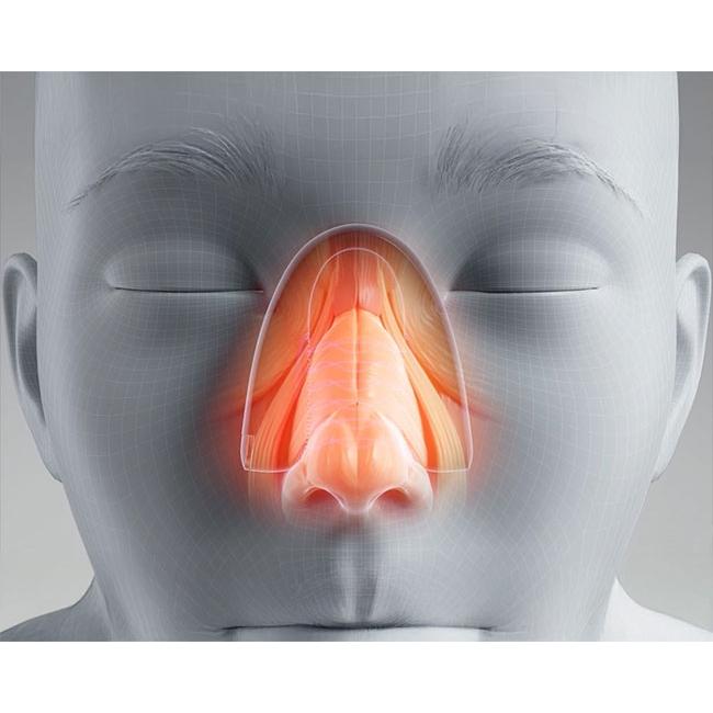 鼻美顔器 QNose キュノーズ NP-QN25BK (品名を「日用雑貨」で配送) <br> ※沖縄離島は送料別途の画像