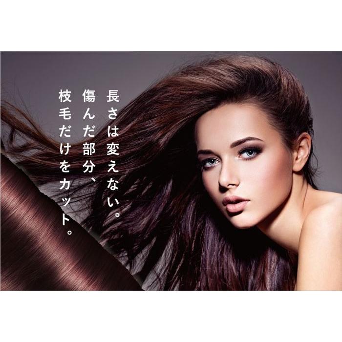 スプリットエンダープロ 2　日本公式代理店　 |  | 03