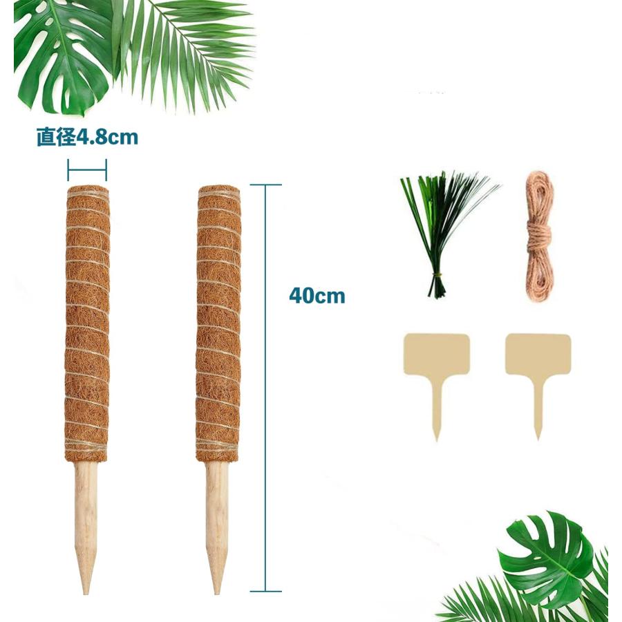 Masinca DIY園芸支柱 (直線タイプ) モンステラ支柱 40cm 2本セット 園芸支柱 モスポール 天然ココナッツ製 つる性植物 観葉植物 登｜azarashifin｜02