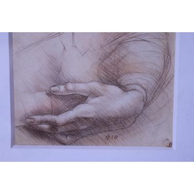 良品】鉛筆画レオナルド‣ダ・ヴィンチ『手の習作』