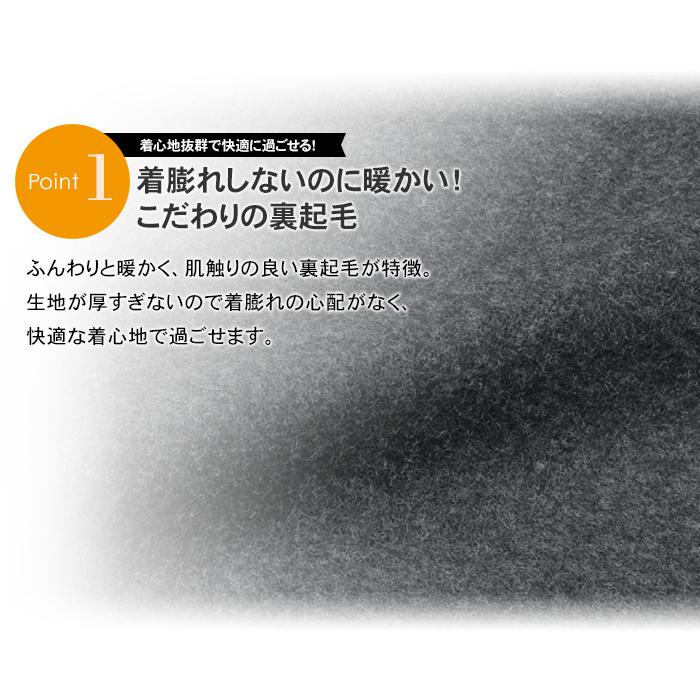 トレーナー スウェット クルーネック 裏起毛 メンズ カジュアル